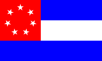 [Supposed flag of the South Florida state]